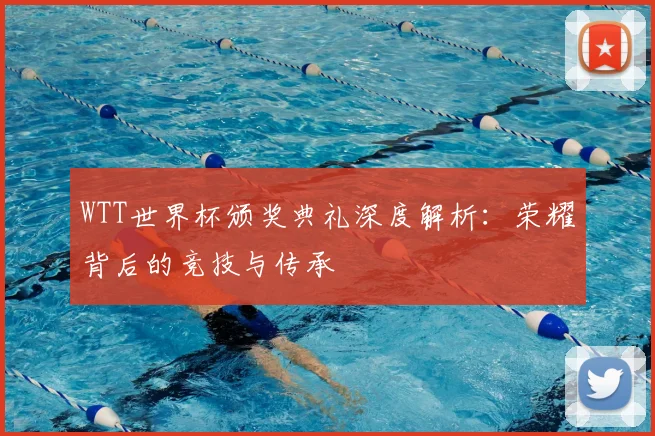 WTT世界杯颁奖典礼深度解析：荣耀背后的竞技与传承
