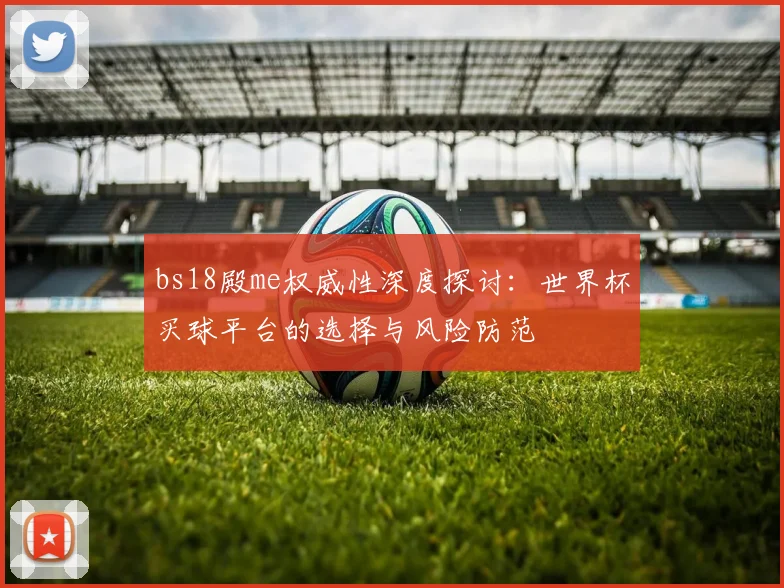 bs18殿me权威性深度探讨：世界杯买球平台的选择与风险防范