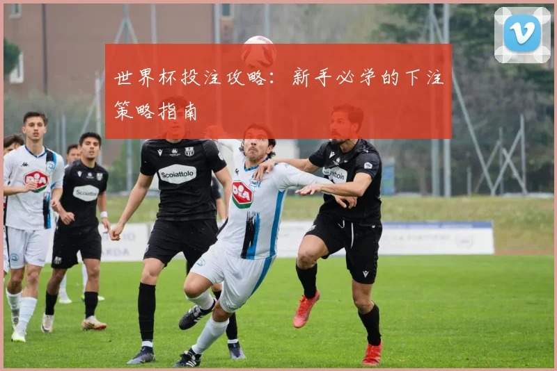 世界杯投注攻略:新手必学的下注策略指南
