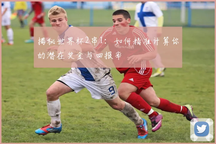 揭秘世界杯2串1：如何精准计算你的潜在奖金与回报率
