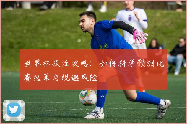 世界杯投注攻略：如何科学预测比赛结果与规避风险