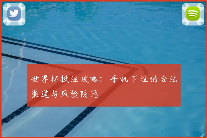世界杯投注攻略：手机下注的合法渠道与风险防范