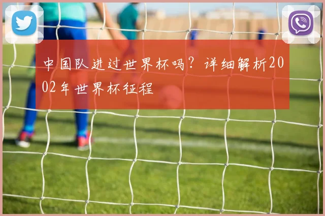 中国队进过世界杯吗？详细解析2002年世界杯征程
