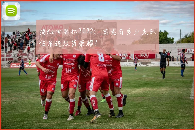 揭秘世界杯2022：究竟有多少支队伍角逐绿茵荣耀？
