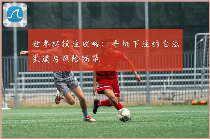 世界杯投注攻略：手机下注的合法渠道与风险防范