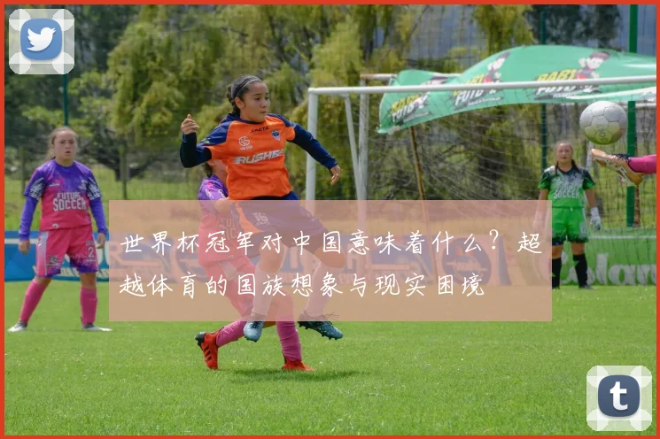 世界杯冠军对中国意味着什么?超越体育的国族想象与现实困境