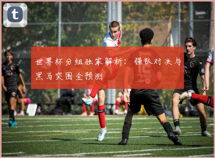 世界杯分组独家解析：强队对决与黑马突围全预测