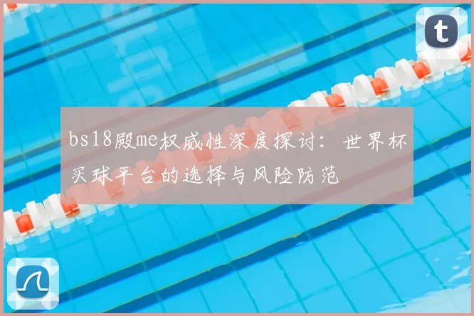 bs18殿me权威性深度探讨:世界杯买球平台的选择与风险防范