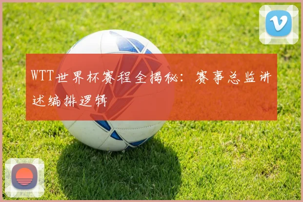 WTT世界杯赛程全揭秘:赛事总监讲述编排逻辑