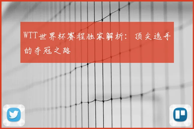 WTT世界杯赛程独家解析：顶尖选手的夺冠之路