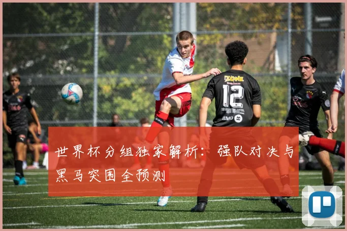 世界杯分组独家解析：强队对决与黑马突围全预测