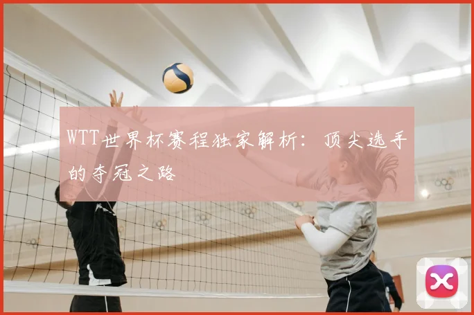 WTT世界杯赛程独家解析：顶尖选手的夺冠之路